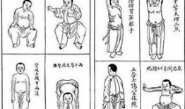 八段锦标准口令视频,轻松入门，养生保健操