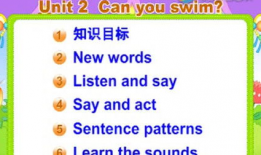 英语视频,Summarizing Key Points from the English Video