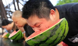 吃西瓜视频,夏日消暑必备，轻松解锁美食新体验